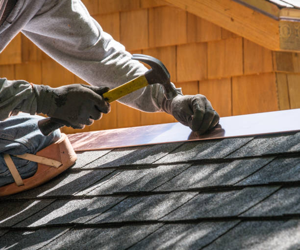 Best Roof Gutter Cleaning  in Covington, KY